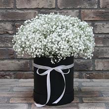 Цветочная композиция из Гипсофила в шляпной коробке в Заозерном